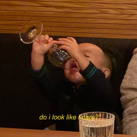 Meet your Posher, Jerico - Picture 1 of 1